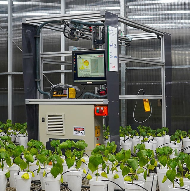 Créditos Embrapa Soja 