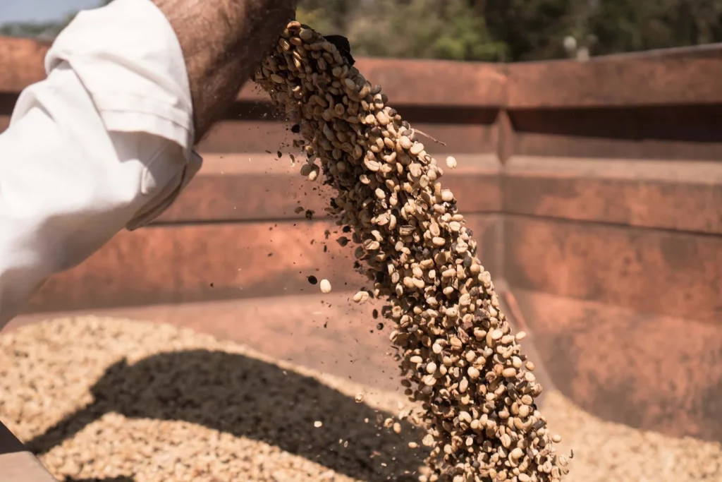 Fazenda de café Fazenda de café