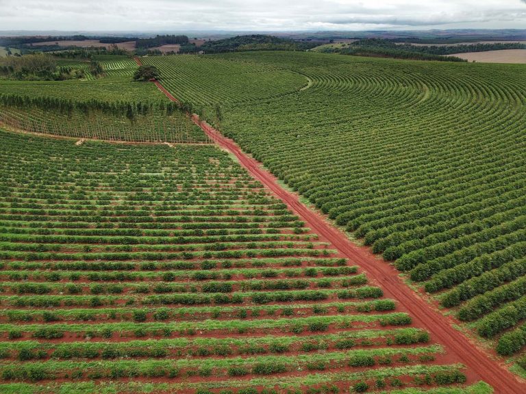 Com mais de 80% dos fertilizantes importados, Comissão debate reativação de fábricas nacionais