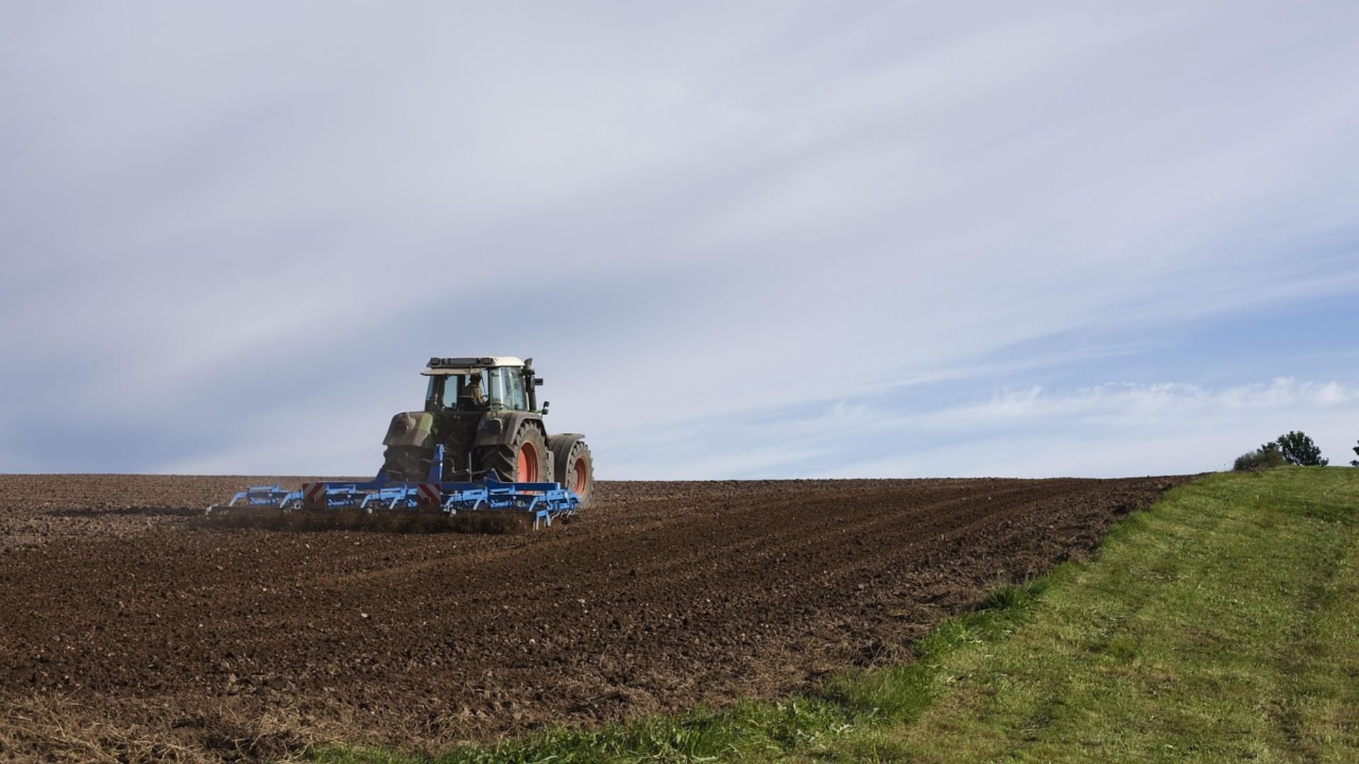 Índice do agro tem maior queda entre os índices da B3 em 2025, segundo consultoria
