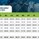 Indicador do boi gordo encerra o dia em alta impulsionado por consumo e escalas