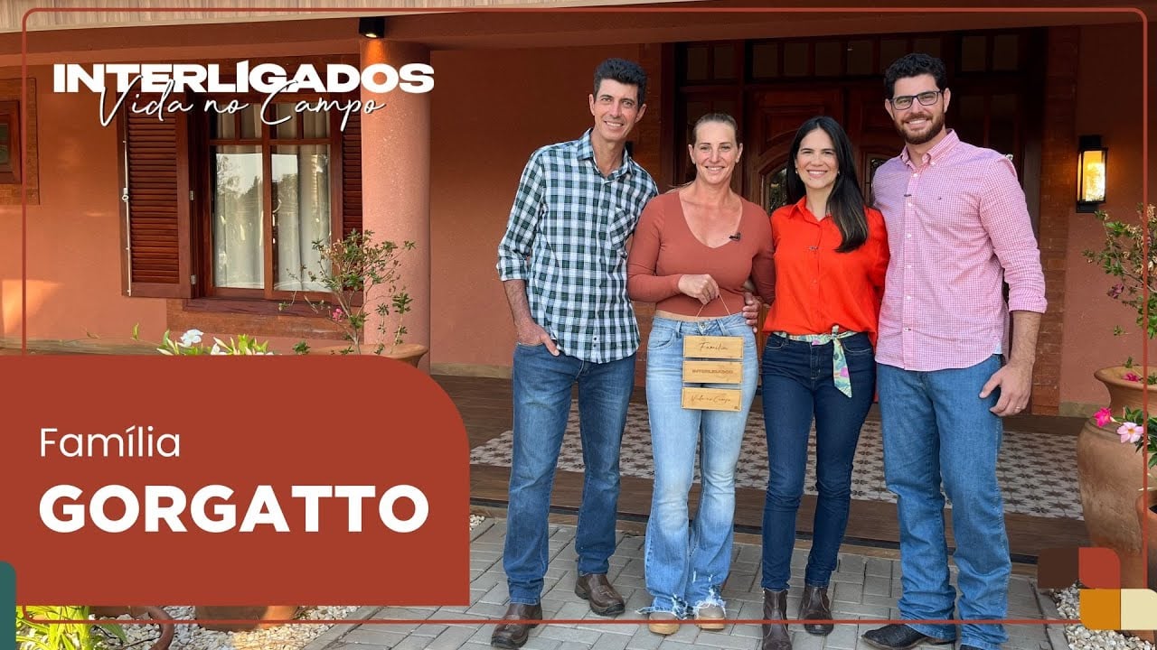 Do café ao frango: a trajetória que tornou o Sítio Primavera uma referência na avicultura