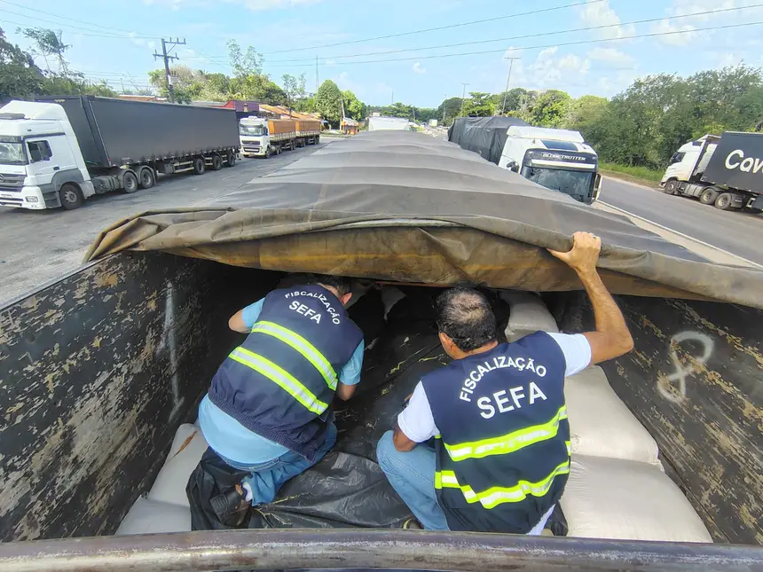Carga de laticínios avaliada em quase R$ 600 mil é apreendida por fiscais