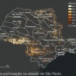 Polinização pode aumentar PIB do agro paulista em mais de R$ 4 bilhões, aponta estudo