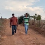 De cinco vacas a 700 litros por dia: novo parceiro impulsiona fazenda goiana