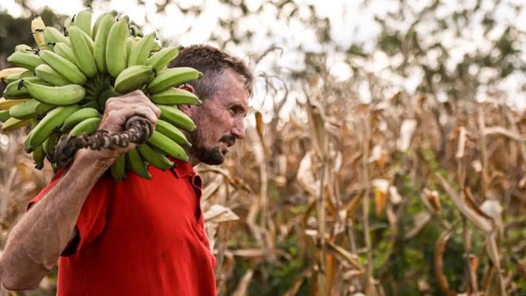 Foto: Marcelo Camargo/Agência Brasil.