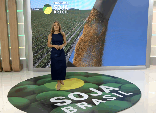 Programa Soja Brasil 41