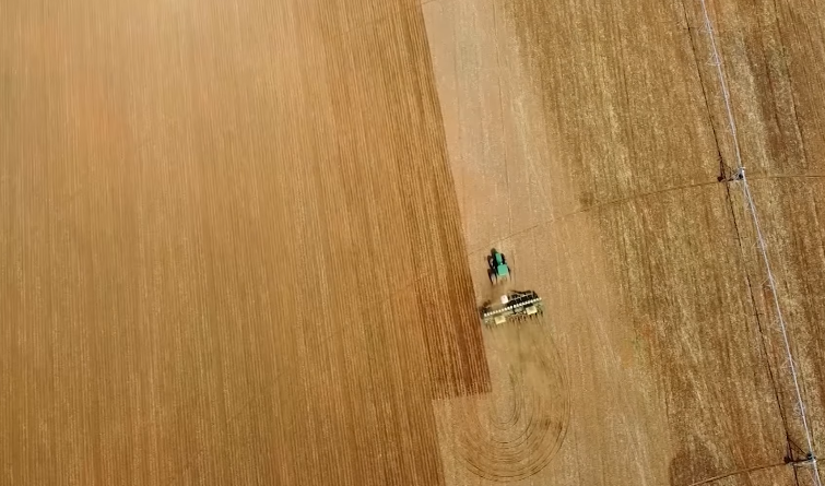 Programa Soja Brasil 41 Programa Soja Brasil 41