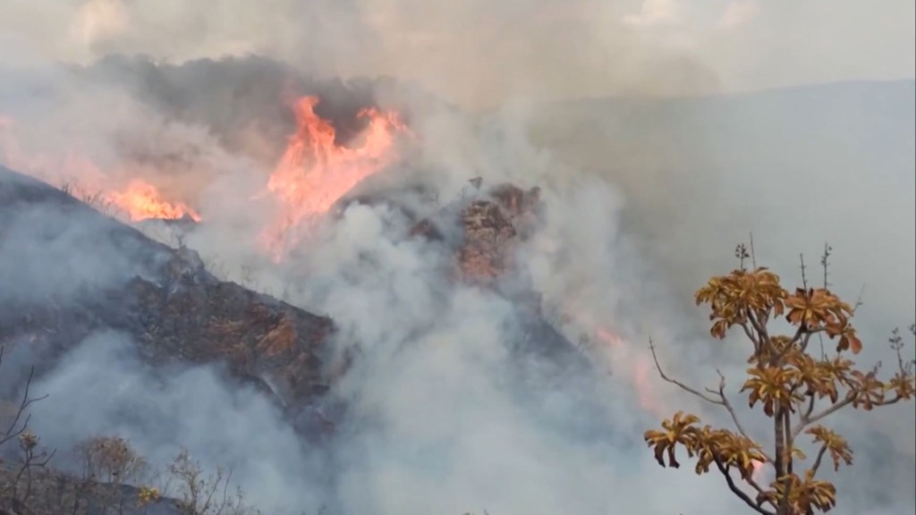 Cetesb prorroga suspensão de queimadas em SP até fim do mês por risco de incêndios. Foto: Divulgação.