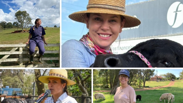 veterinárias Rio Grande do Sul