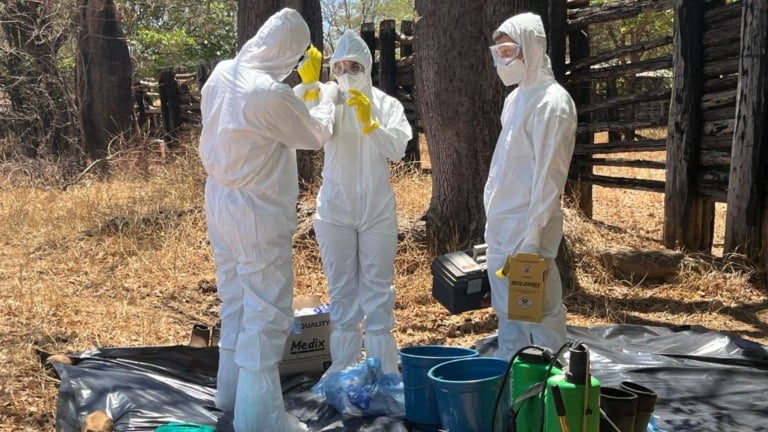Minas Gerais realiza treinamento contra febre aftosa. Foto: Divulgação.