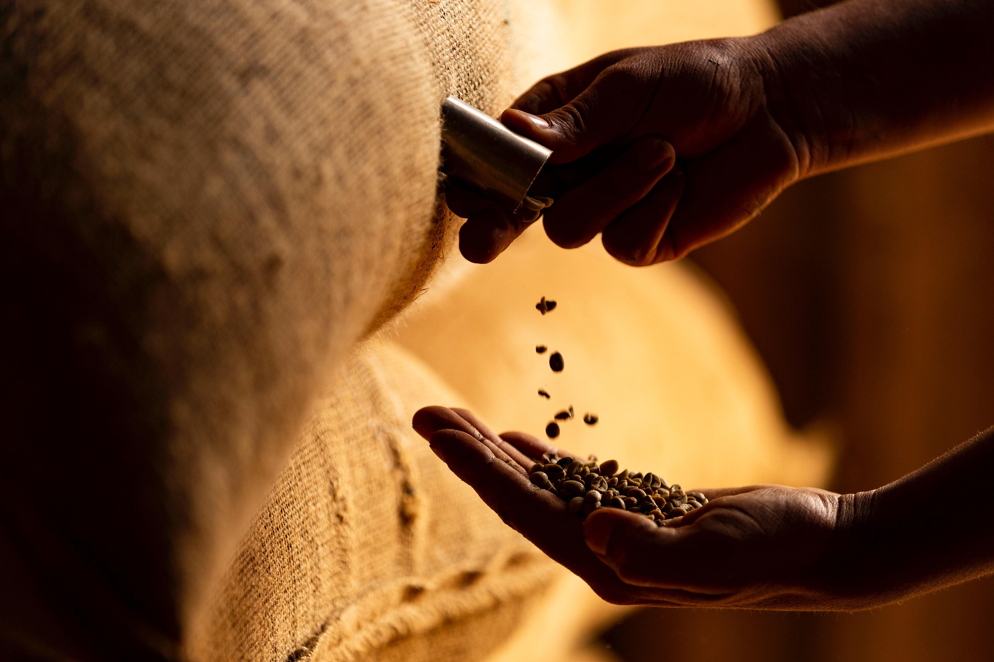 Ainda restam muitas dúvidas sobre a redução parcial do tarifaço dos EUA, diz Fiemg