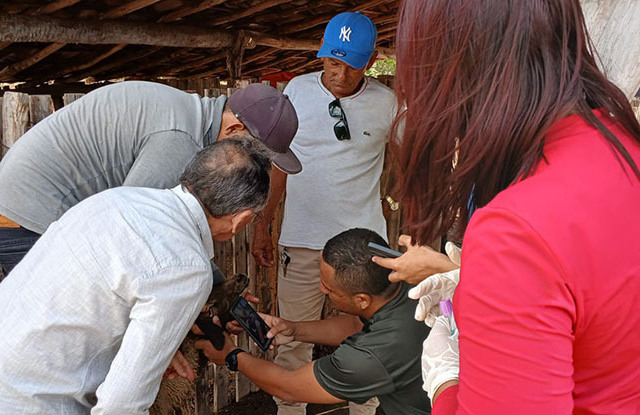 Captura de fotos da mucosa ocular pelo aplicativo ajudam a identificar animais com sintoma de anemia, um indicador da verminose
