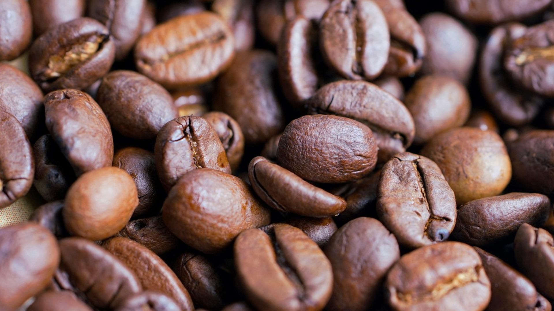 BSCA destaca diálogo entre Brasil e EUA sobre tarifas do café especial