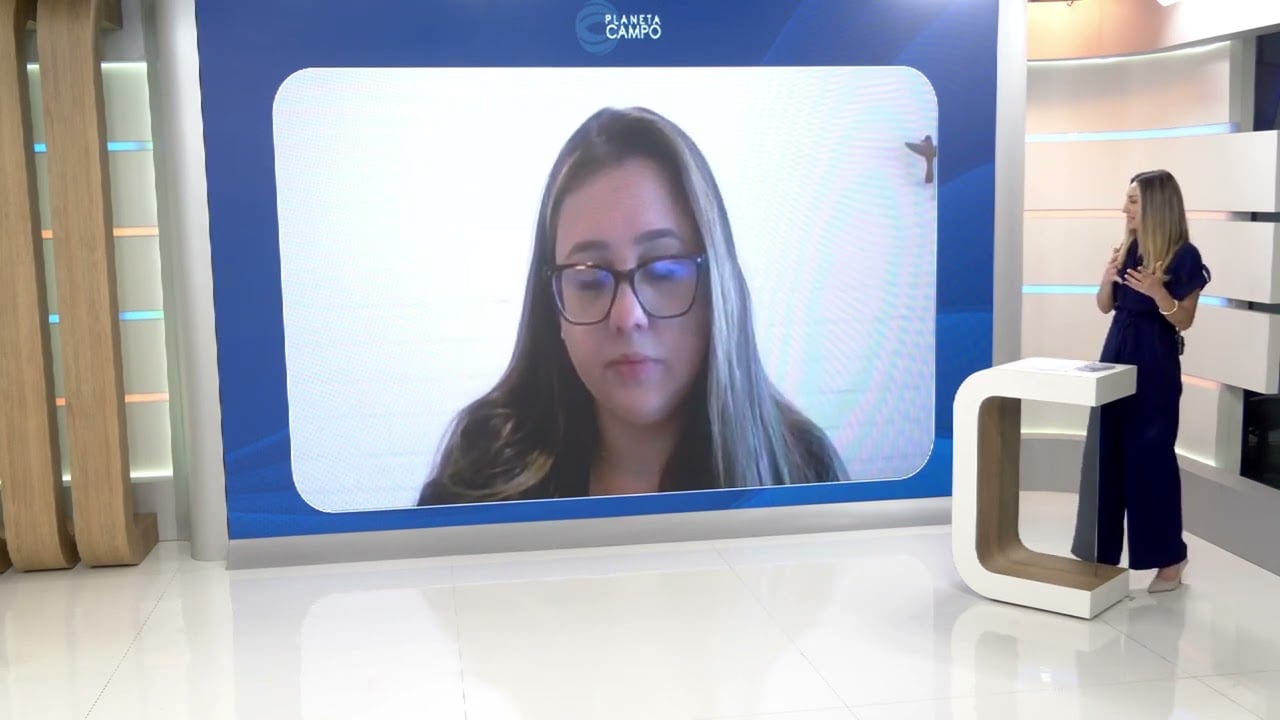 Aplicativo ajuda a evitar prejuízos nas lavouras e proteger apiários