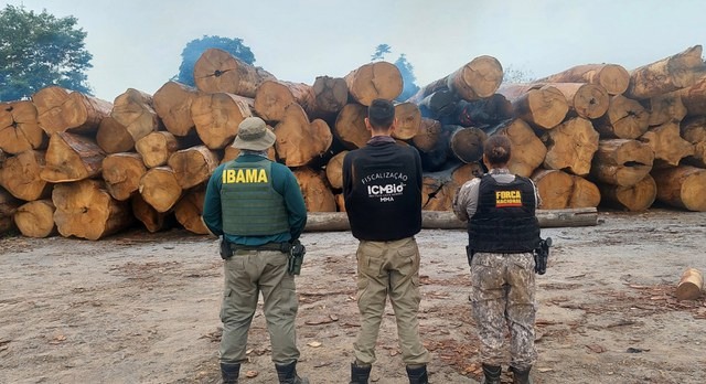 Ibama, ICMBio e Força Nacional atuam de forma conjunta em Rurópolis madeira ilegal (PA)