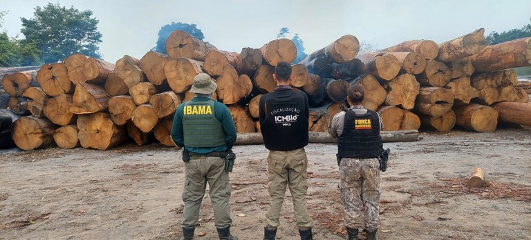 Ibama, ICMBio e Força Nacional atuam de forma conjunta em Rurópolis madeira ilegal (PA)
