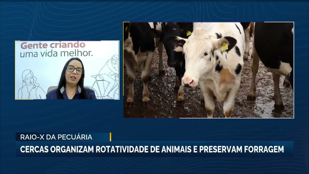 Manejo com cercas melhora produção e bem-estar animal na pecuária leiteira