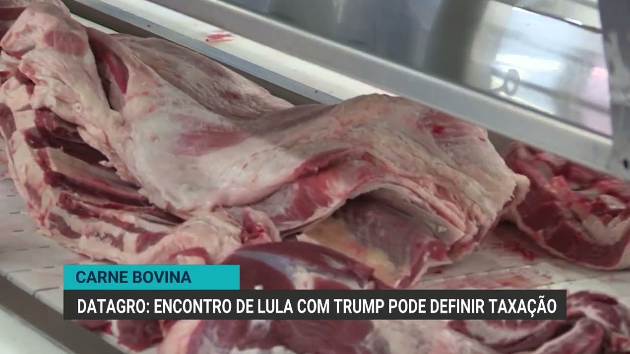 Mercado do boi gordo fecha atento a possíveis decisões de Trump sobre importação de carne bovina