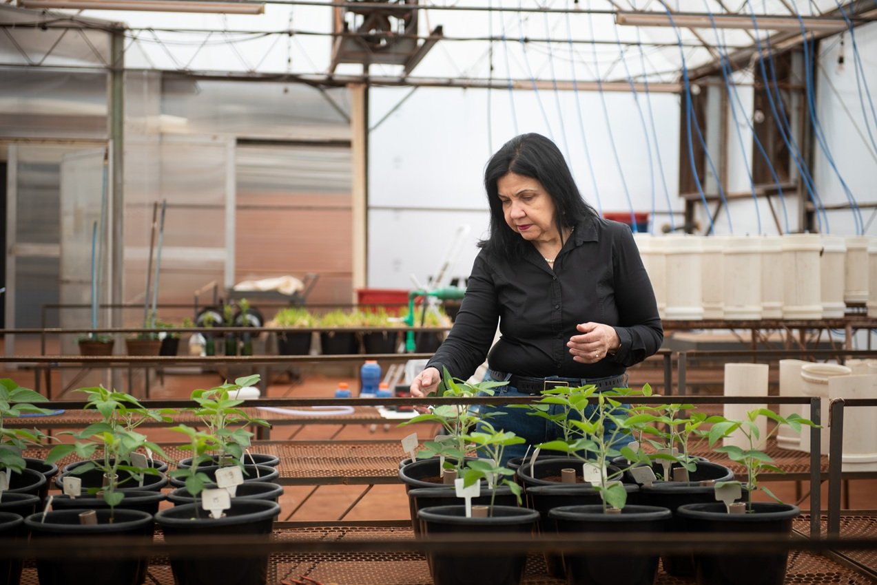 Mariangela Hungria, da Embrapa, entra para lista de personalidades mais influentes em ações pelo clima