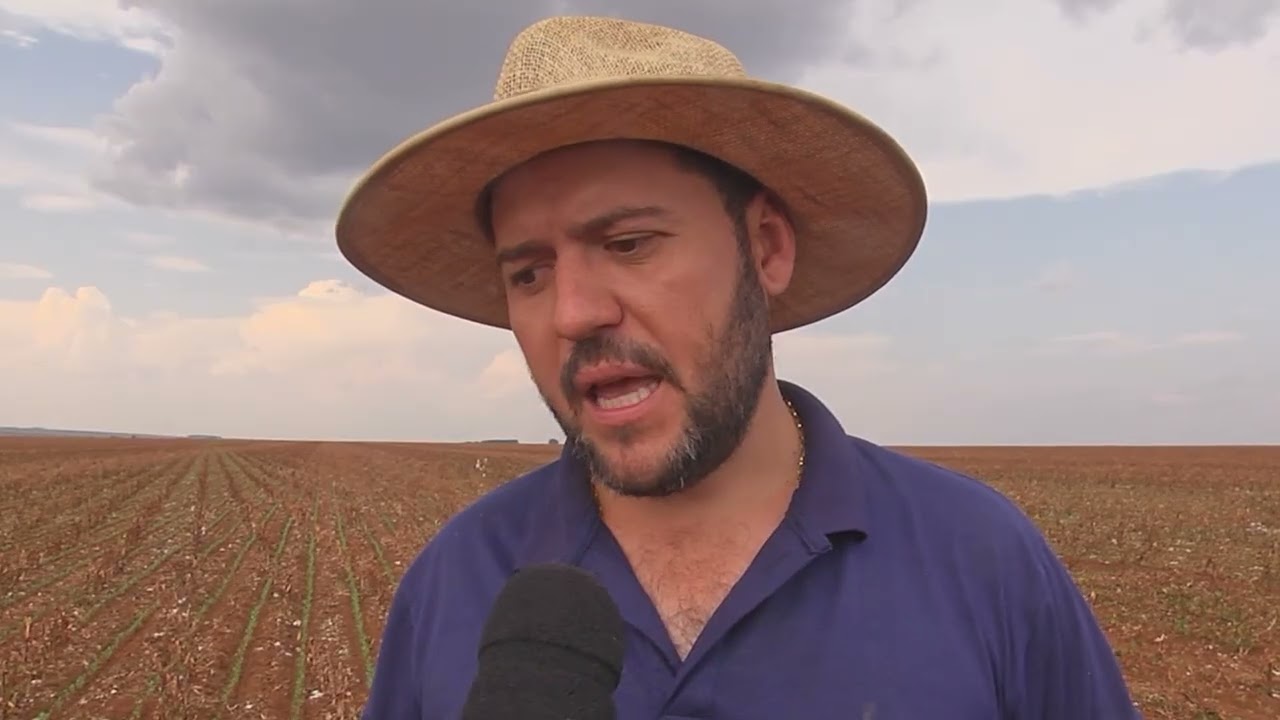 Com 15% da soja semeada, produtores de MT enfrentam solo seco e custos elevados