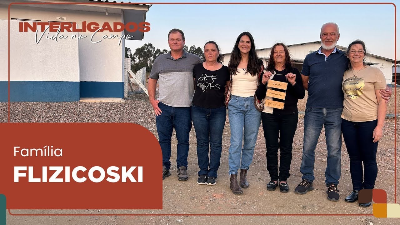 O legado de dona Reni: quatro décadas de avicultura e superação em família