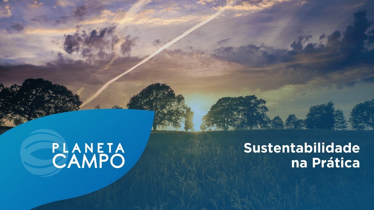 Pecuária brasileira se posiciona como aliada do clima na COP30