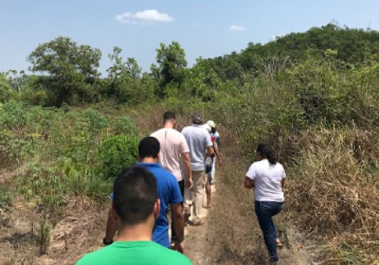 Agricultores em atividade caminhando em meio à plantação. A foto foi tirada pelo Sebrae Pará