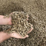 Empresa transforma borra de café em biomassa e cria projeto de crédito de carbono