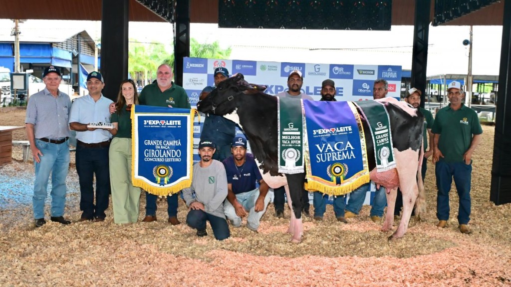 vaca girolando, ExpoLeite, Fernanda Forbes Olhos D'Água