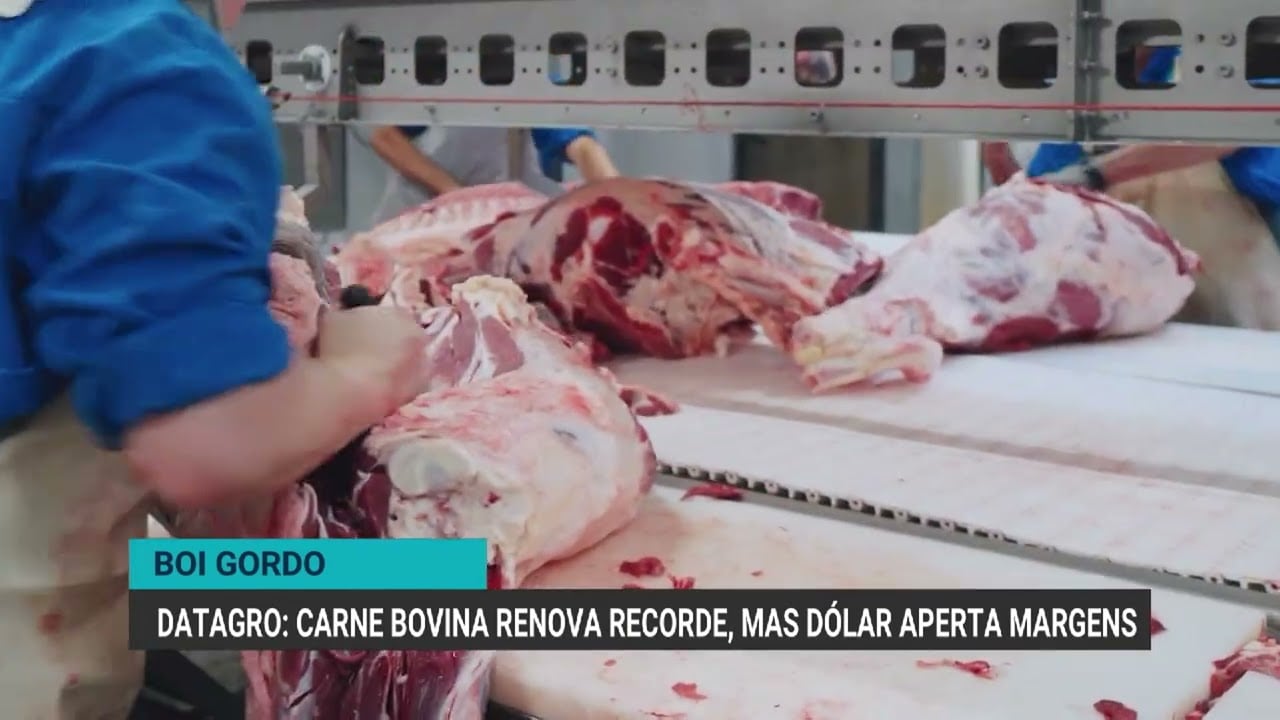 Brasil exporta quantidade recorde de carne bovina e arroba volta a subir