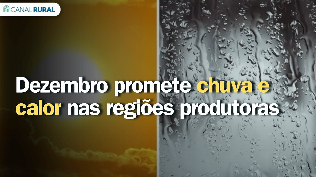 Ciclone extratropical deve trazer 250 mm de chuva; veja onde e quando