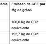 Irrigação no momento certo reduz em 50% as emissões do trigo no Cerrado, revela Embrapa
