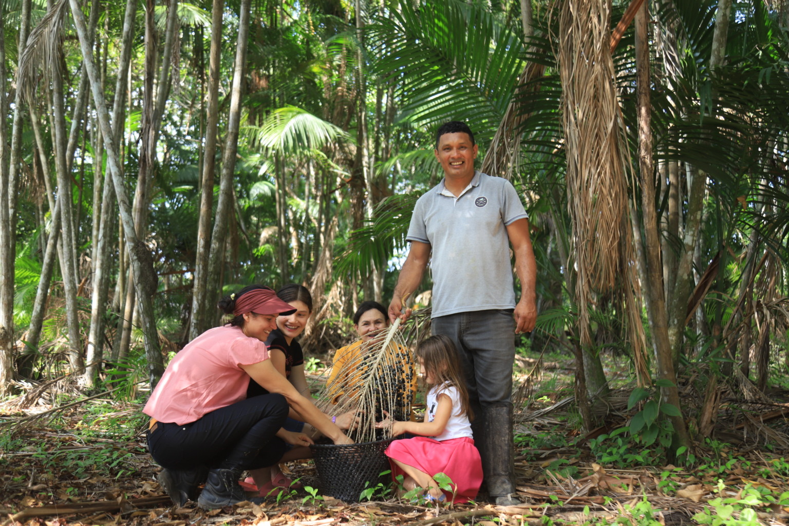 Na casa da COP30, produção de açaí impulsiona a economia e fortalece a agricultura sustentável
