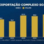 Agroexport: soja em grão atinge melhor cotação do ano e aquece embarques
