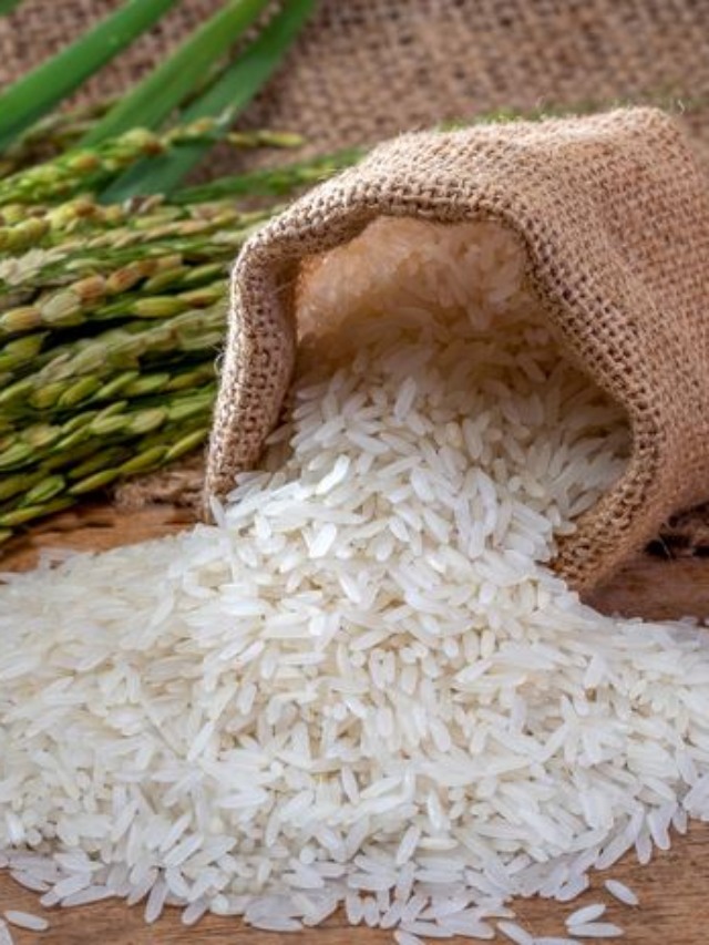 arroz brasileiro eua