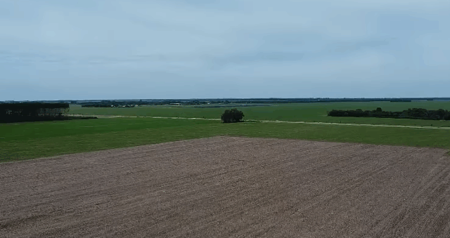 Reprodução Canal Rural