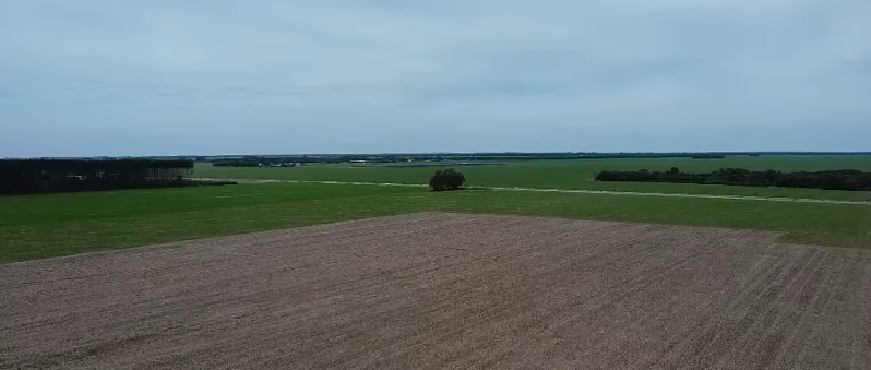 ‘Em ano de clima irregular, safra de soja está no limite e não há espaço para erro’, diz sojicultor de MT