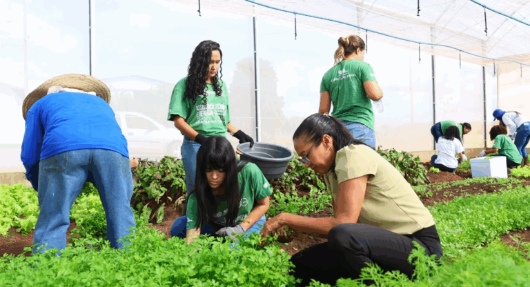 Cooperativas baianas movimentaram mais de R$ 9 bi em 2024