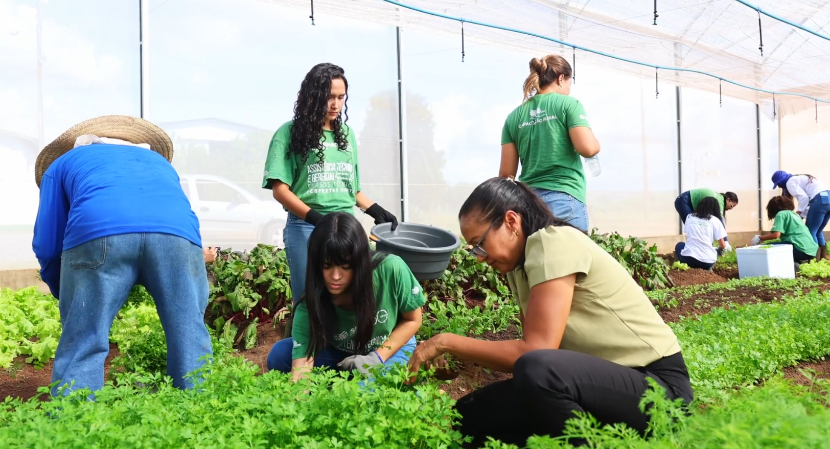 Cooperativas baianas movimentaram mais de R$ 9 bi em 2024