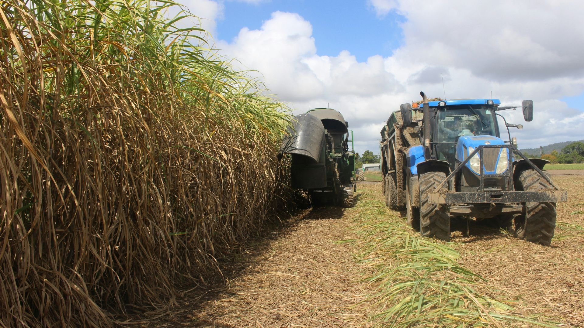 Cetesb e Unica firmam cooperação para modernizar gestão ambiental e uso de resíduos
