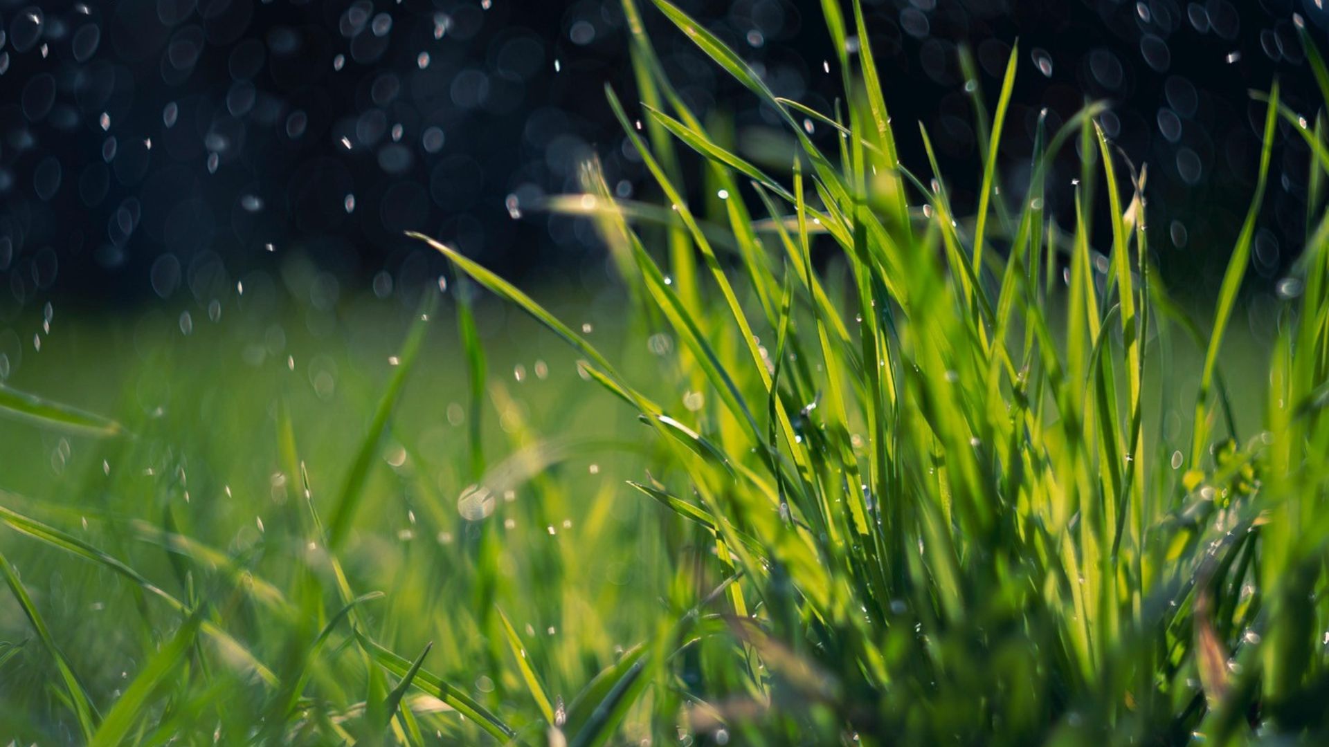 Semana terá tempo firme no Sul e chuva no Norte e Centro-Oeste
