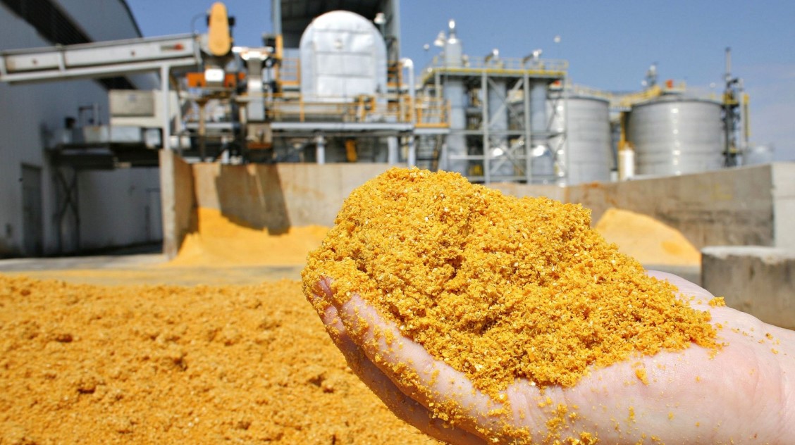 Brasil abre novos mercados para DDG, amêndoas de macaúba e noz-pecã