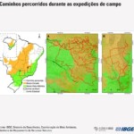 Mata Atlântica perde 1% de área e Cerrado ganha 1,8%, revisa IBGE