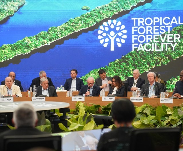 Fundo Florestas Tropicais Para Sempre