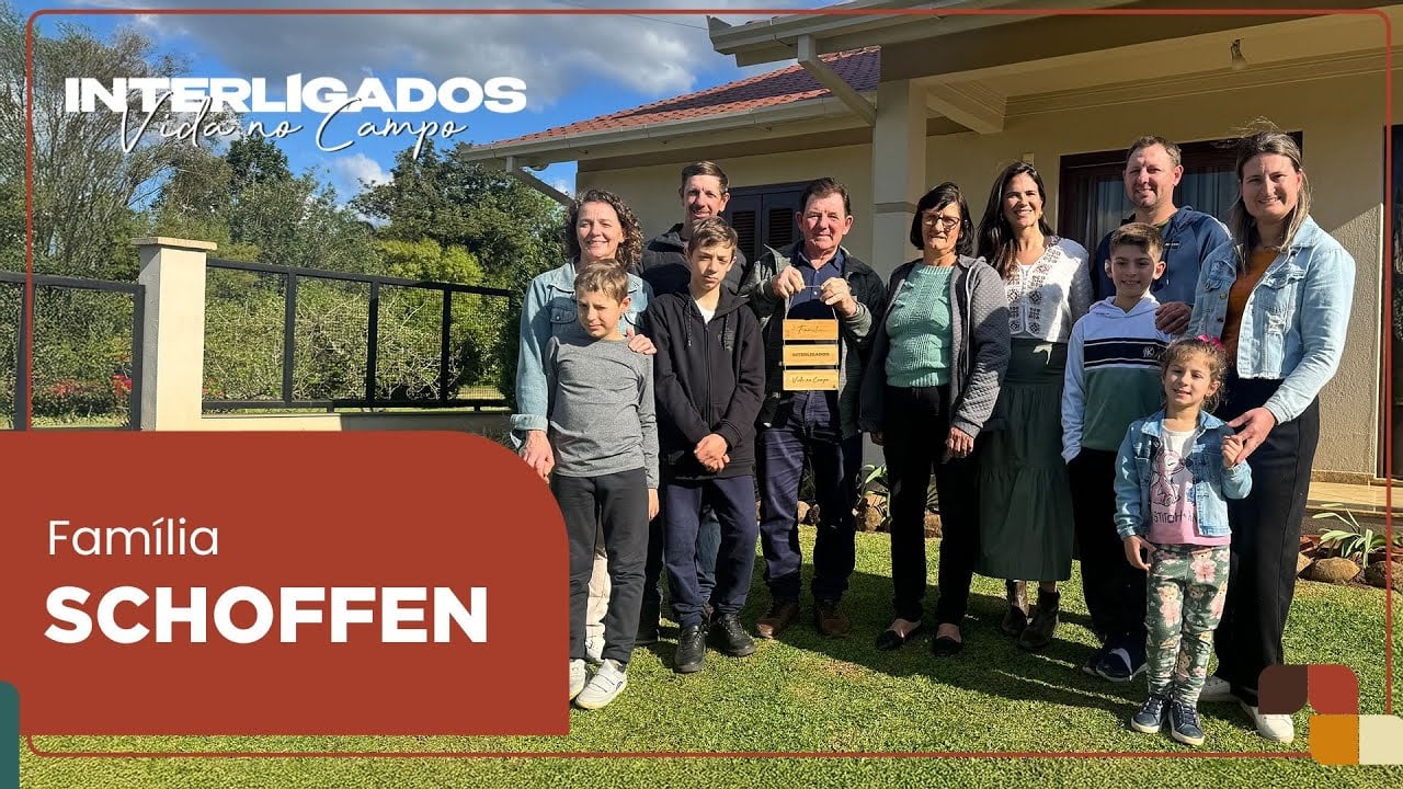 Família do RS vive da suinocultura há três gerações e se tornou referência no setor