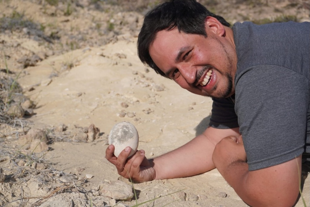 Momento da descoberta; ovo de dinossauro