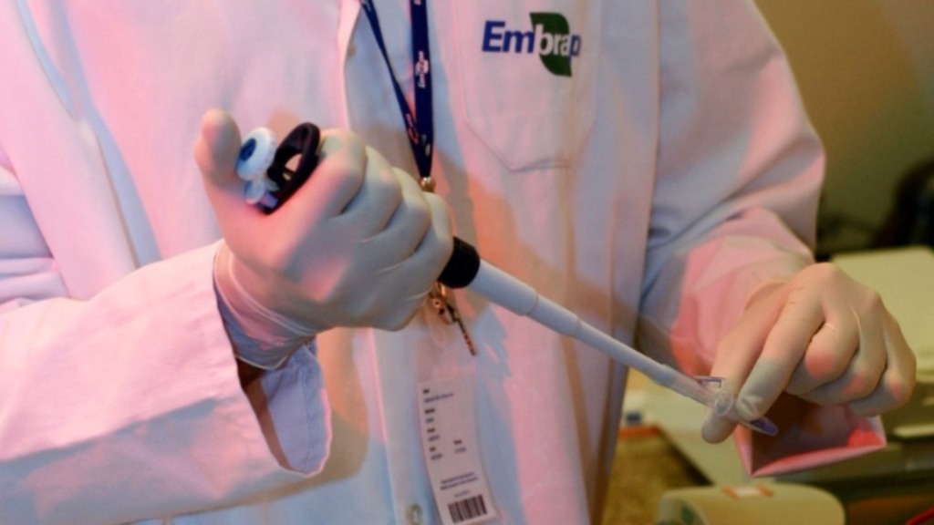 Foto: Divulgação/Embrapa. Foto: Divulgação/Embrapa.