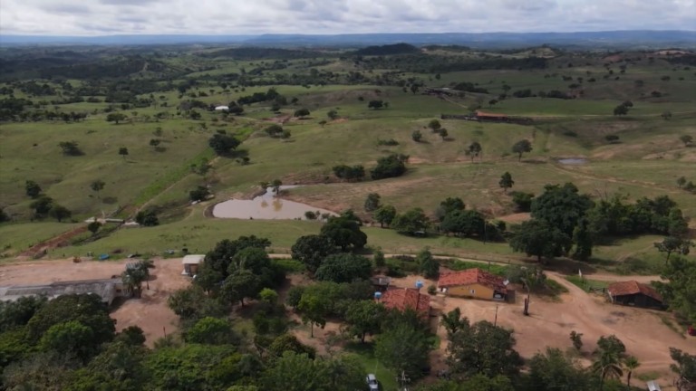 Foto: Reprodução/Giro do Boi.
