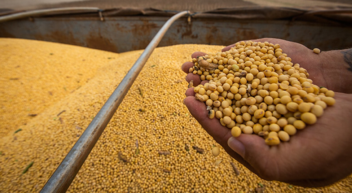 CNA vai ao Supremo contra decisão que suspende ações sobre a Moratória da Soja